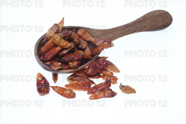 Pequin pepper
