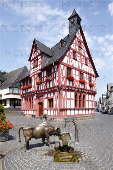 City Hall with Viehtranke fountain and Rhenser ox on the market square