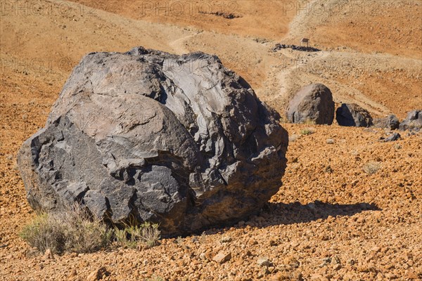 Huevos del Teide