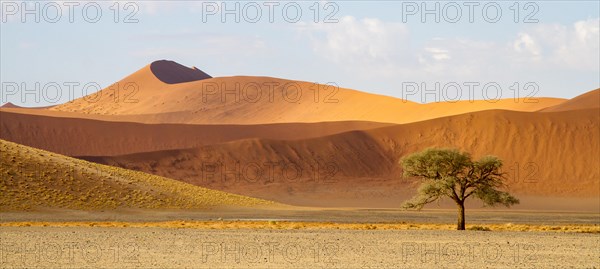 Sand dunes in the morning light