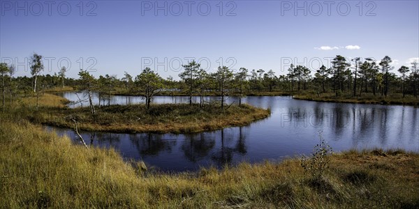 Wetland