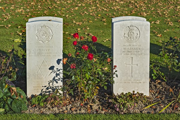 Two grave stones with roses