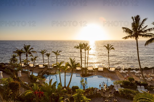 Seaside swimming pool with palm trees at sunset
