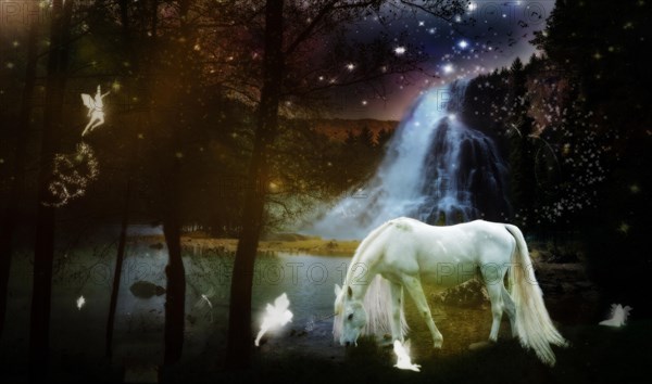 Fairyland
