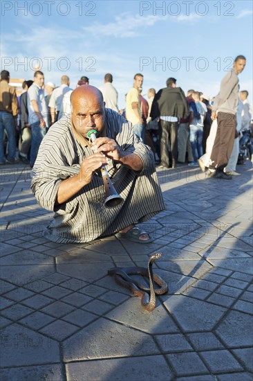 Snake charmer on Djemma el Fna square