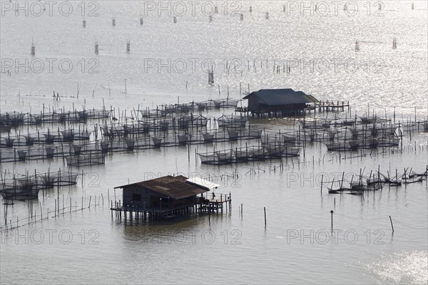 Fish farming