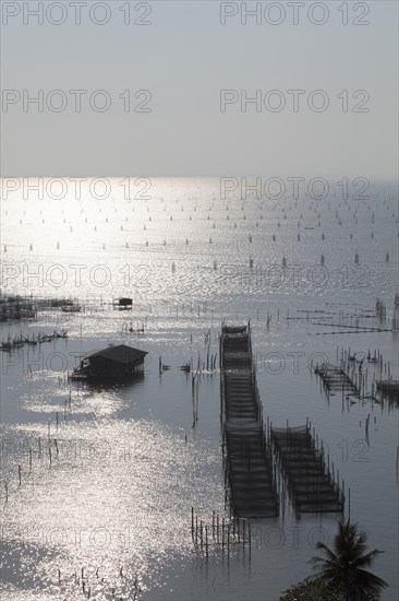 Fish farming