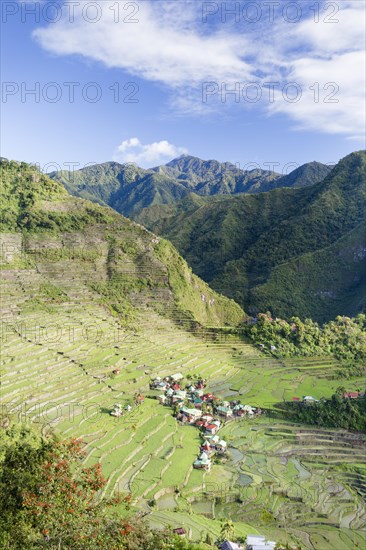 Batad rice terraces