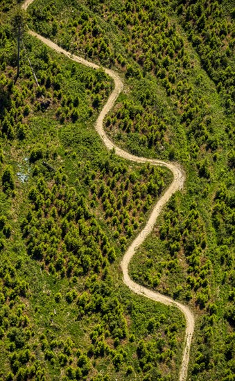 Mountain path at the Hochheide hut