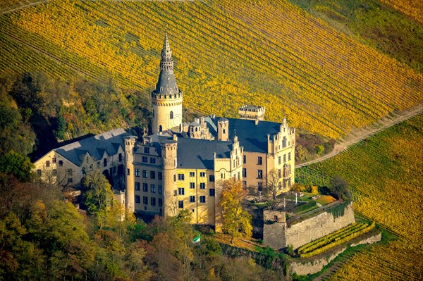 Arenfels Castle in vineyards in autumn