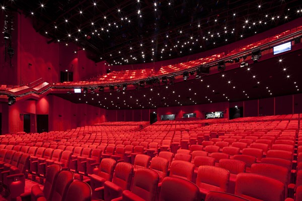 Auditorium floor and rank