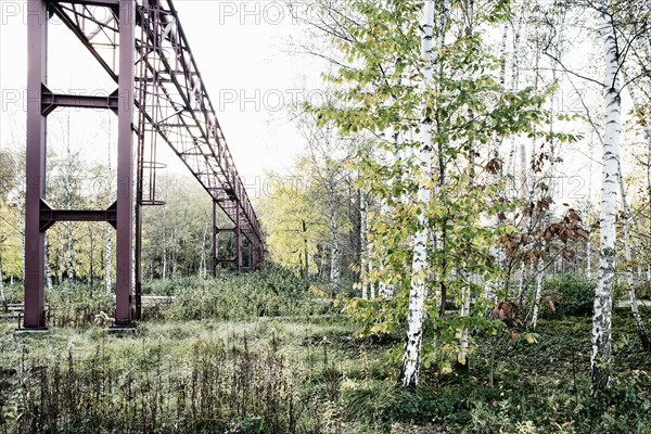 Conveyor and renaturalised colliery in the Ruhr district