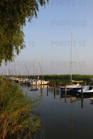 Marina on Lake Neusiedl