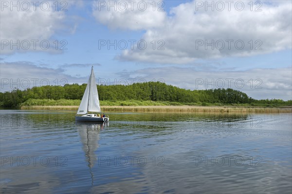 Fleesensee