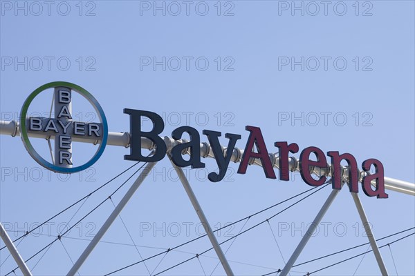 Bayer cross
