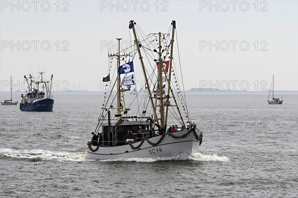 Festively decorated shrimp boats
