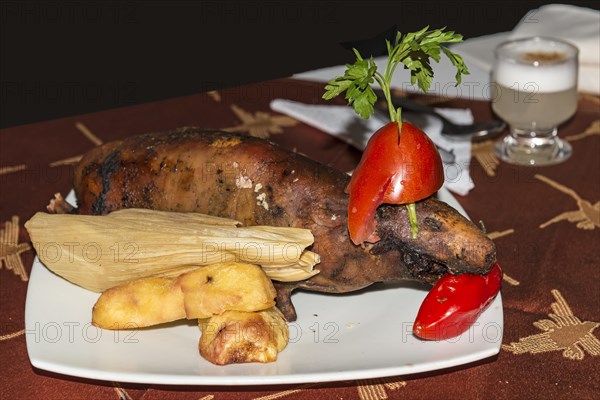 Roasted guinea pig Cuy chactado