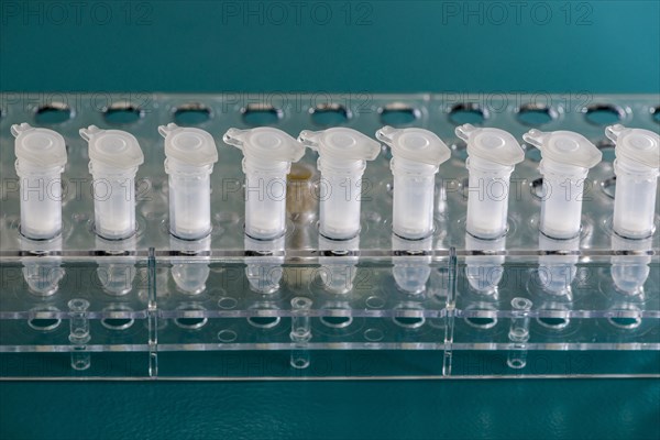 White Spin Filter sorted in a transparent rack