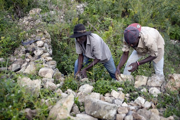Men building walls with boulders to prevent erosion on deforested slopes