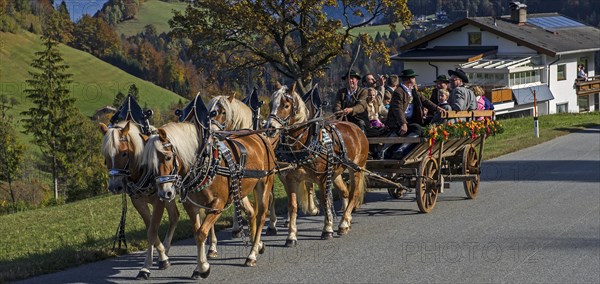 Leonhardiritt