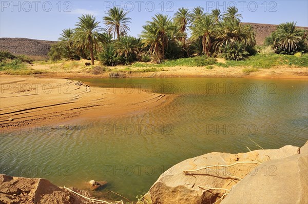 Waterhole in a Wadi or Oued