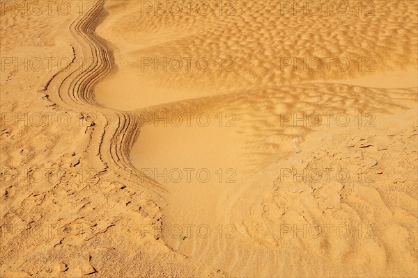 Drysand in the waterhole in a Wadi or Oued