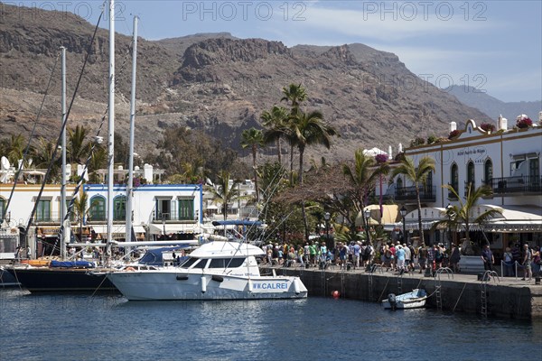 Boats in the harbour