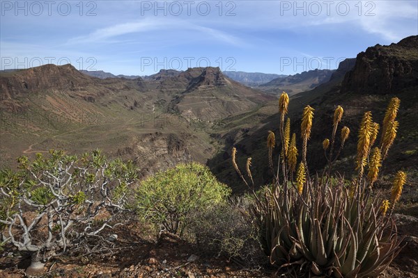 View from Mirador Degollada de Las Yeguas to Barranco de Fataga