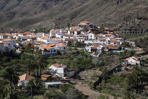 View of Fataga