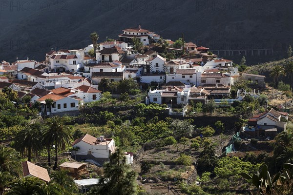 View of Fataga