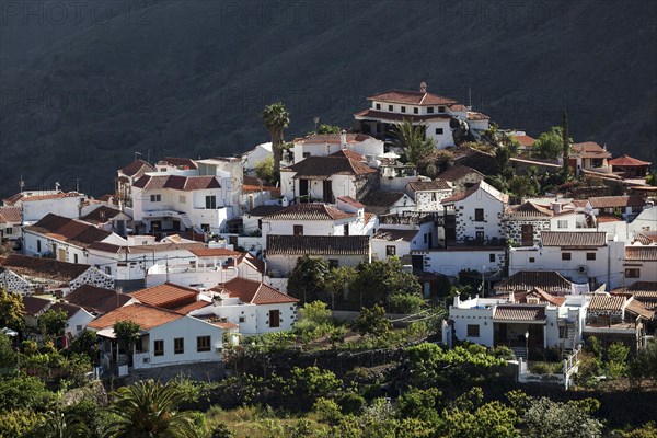 Partial view of Fataga