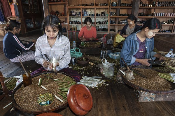 Local girls manufacturing cheroot cigars