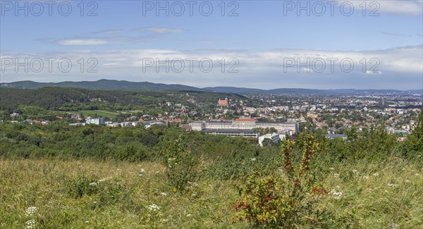 View from Eichkogel towards Modling