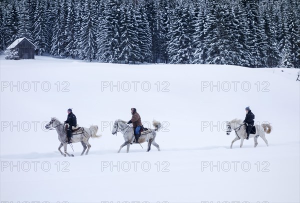 Horse-riders in a winter landscape