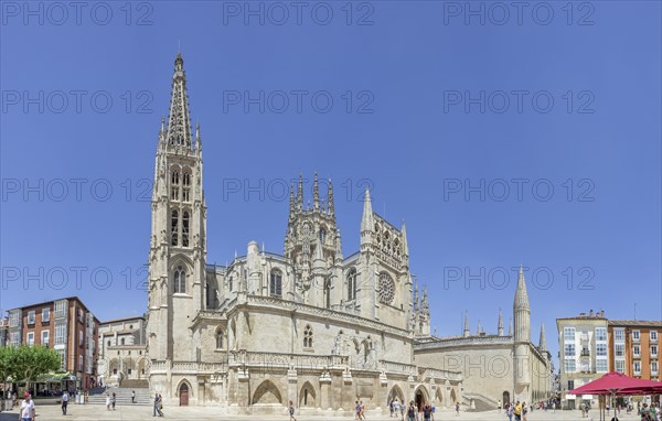 Cathedral