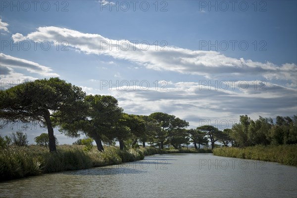 Riverscape