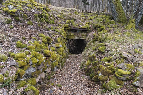 Trench, Wattwiller