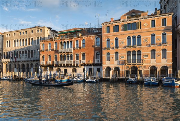 Red Palazzo Cavalli