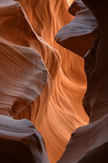 Red Sandstone