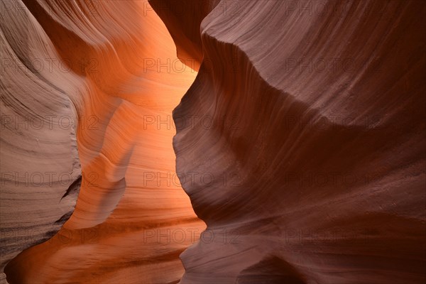 Red Sandstone