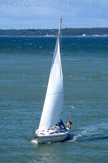 Sailing boat at Oresund