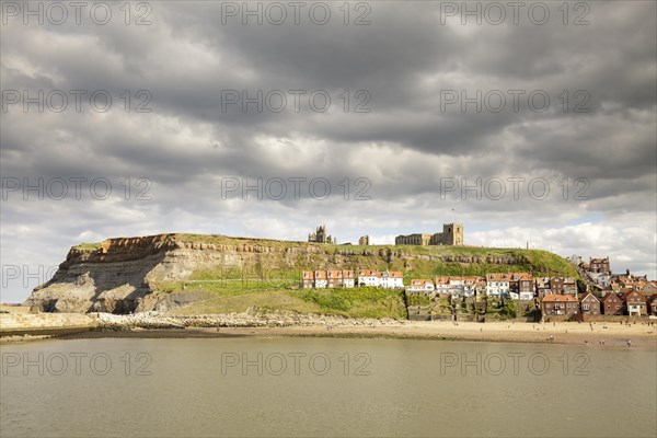Whitby Harbour with the town