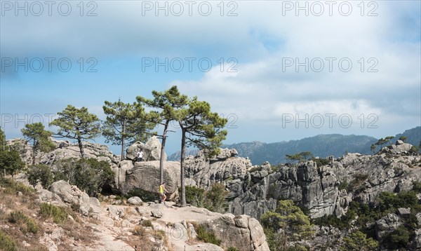Mountainous landscape