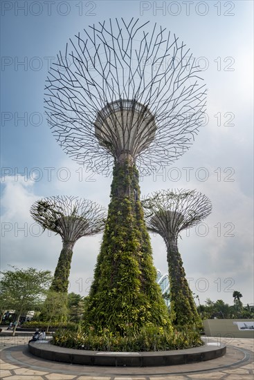 Supertrees
