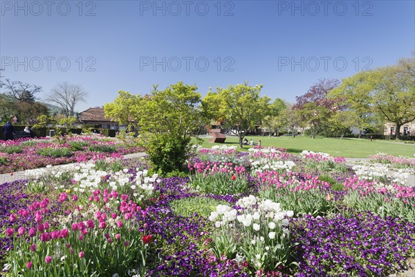 Public park
