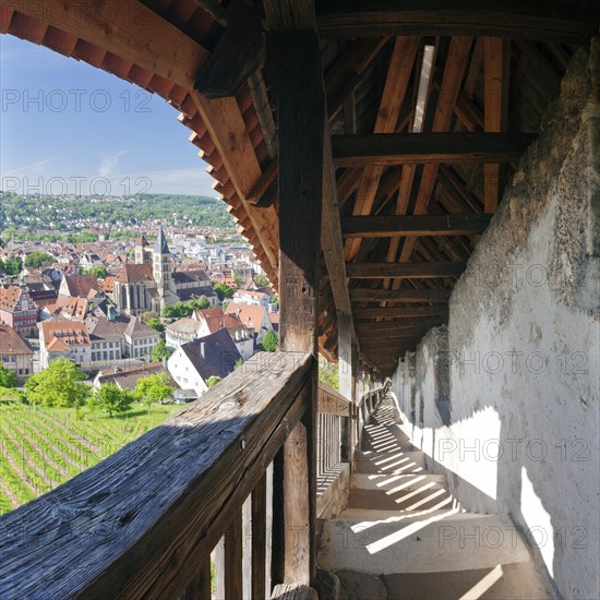 View from the castle towards the historic centre with town church of St. Dionysius