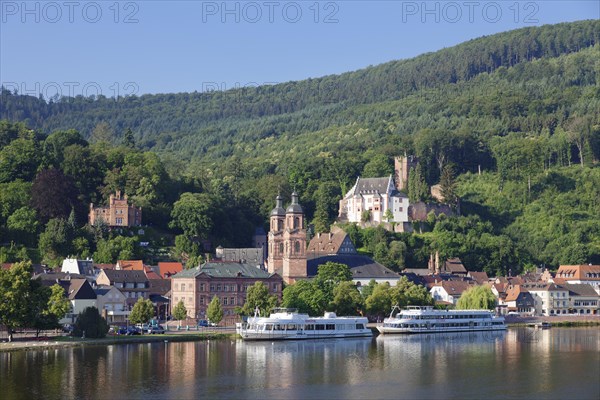 Mildenburg and Parish Church of St James