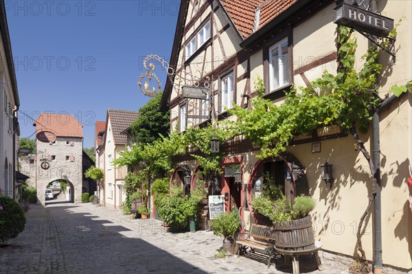 Restaurants in the Maingasse street