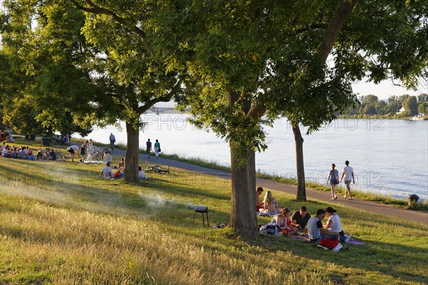 People having a barbecue on a summer evening on the bank of the river Rhine
