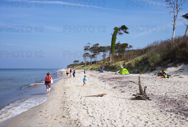 West beach at the Baltic Sea